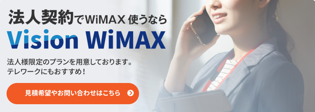 Vision WiMAX